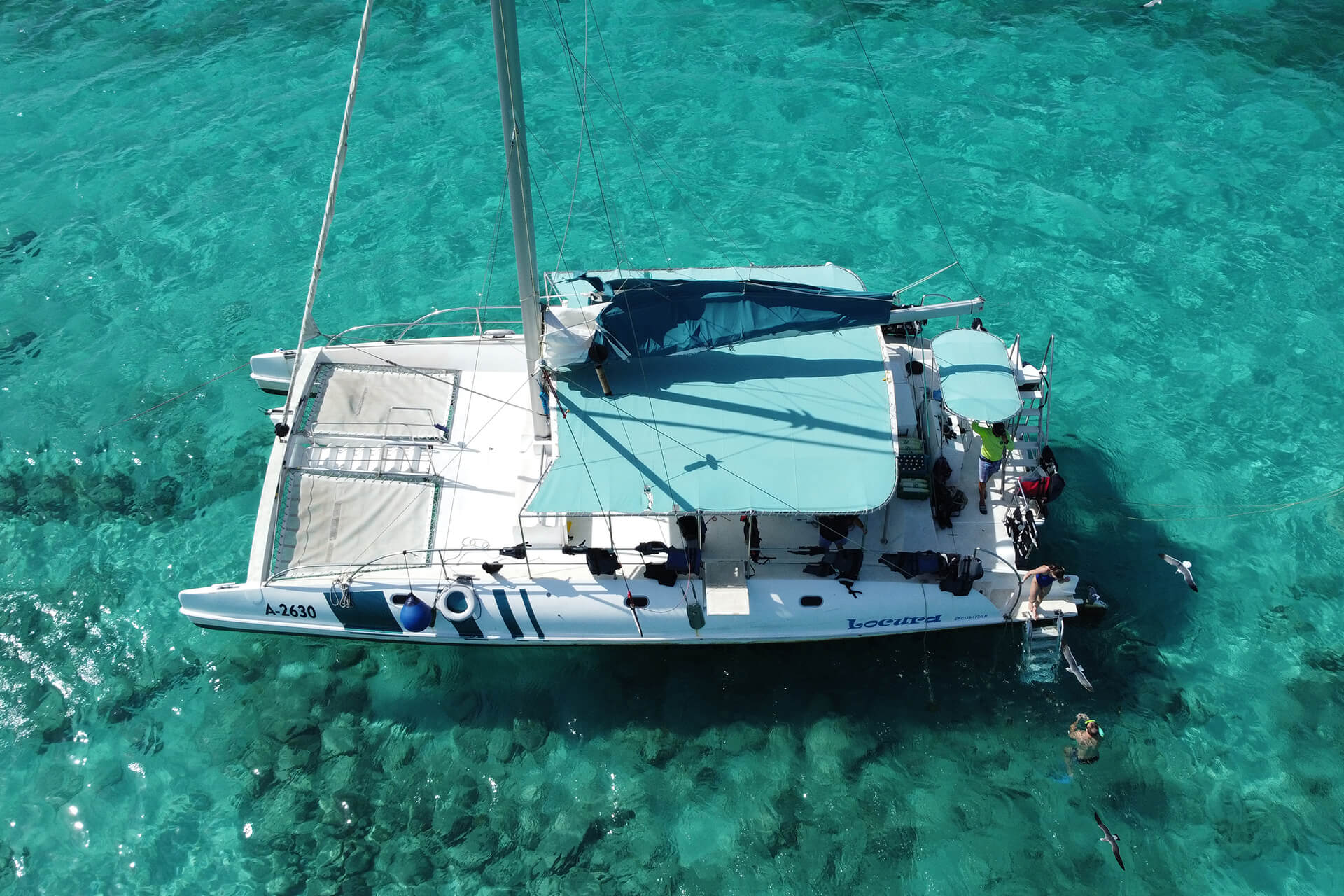 catamaran party boat aruba